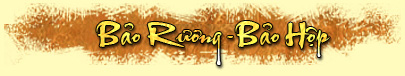 Bảo Rương