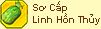 Sơ Cấp Linh Hồn Thủy